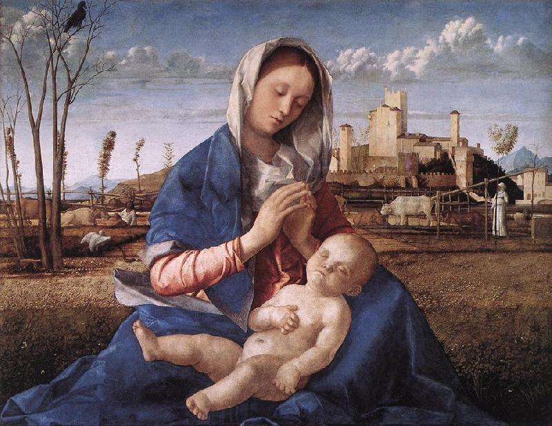 BELLINI, Giovanni Madonna of the Meadow (Madonna del prato) gh oil painting image